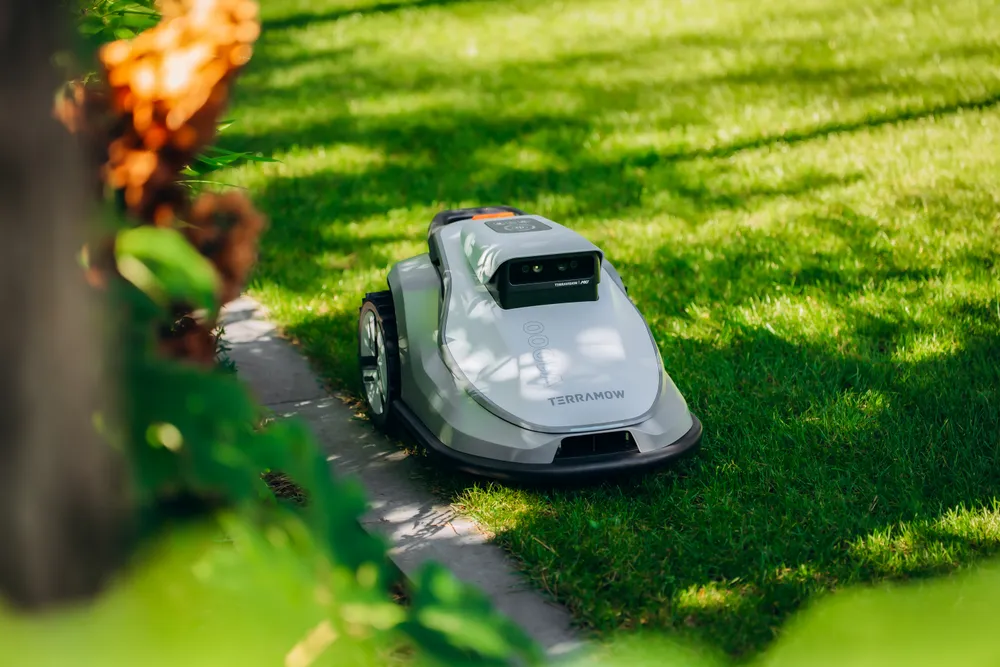 Robot koszący w ogrodzie
